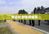 中国劳动保障网，构建和谐劳动社会保障体系之路