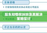 股东知情权纠纷及其解决策略探讨