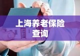 上海养老保险查询，了解您的养老保障进程