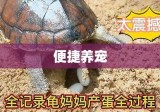 网上购龟，便捷养宠新体验