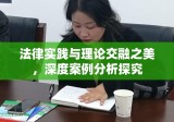 法律实践与理论交融之美，深度案例分析探究