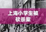 上海小学生被砍杀案深度剖析与反思