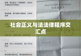 刑事拘留，法律程序与社会正义的交汇点