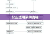 公正透明采购流程的关键要素，采购招标书的制定与实施