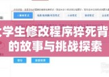 大学生修改程序猝死背后的故事与挑战探索