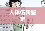 人体伤残鉴定的探索与实践，理论与实践的交融之旅