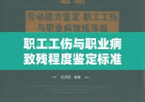 职工工伤与职业病致残程度鉴定标准，劳动者权益的坚实保障