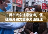 广州市汽车违章查询，便捷服务助力城市交通管理高效运行