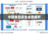 中国食品安全问题全景解析