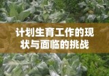 计划生育工作的现状与面临的挑战