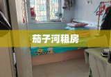 茄子河租房，探寻优质居住之选