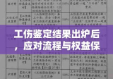 工伤鉴定结果出炉后，应对流程与权益保障指南