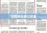 沈阳市住房公积金，助力城市繁荣与员工安居乐业双赢计划