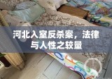 河北入室反杀案，法律与人性之较量