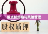 股权质押贷款，融资新策略与风险管理探讨