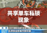 共享单车私锁现象引发道德挑战与社会治理反思