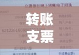 网络时代犯罪新动向，利用转账支票打印软件实施网络杀人转账行为