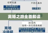 全面解读离婚之路，离婚协议书与离婚程序指南