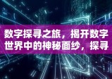 数字探寻之旅，揭开数字世界中的神秘面纱，探寻数字550000的奥秘之旅