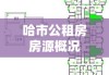 哈市公租房房源概况，深度解析2018年房源分布与状况