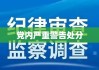 党内严重警告处分的深远影响及其意义探究