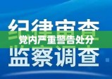 党内严重警告处分的深远影响及其意义探究