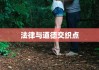 未婚先孕是否违法，法律与道德的交织点探讨