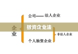 独资企业法，构建法律框架促进企业发展壮大