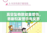 高空坠物致幼童受伤，悲剧引发警示与反思