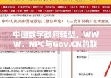 中国数字政府转型，WWW、NPC与Gov.CN的联动效应探索