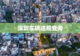 深圳车辆违规查询，便捷服务助力城市交通管理高效运行