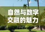 西双版纳在线，自然与数字交融的魅力之旅