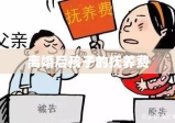 离婚后孩子的抚养费，责任、公平与未来的考量之道