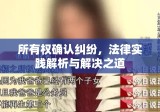 所有权确认纠纷，法律实践解析与解决之道