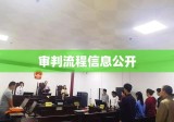 中国审判流程信息公开网，2019年审判动态及司法透明度提升查询指南