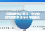 短期偿债能力分析，企业稳健发展的关键指标与晴雨表