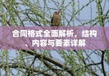 合同格式全面解析，结构、内容与要素详解