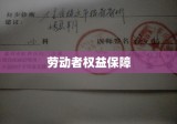 工伤伤残等级鉴定，劳动者权益保障的关键环节