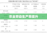 农业劳动生产率提升的关键与挑战解析