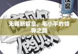 无锡新篇章，毛小平的领导之路