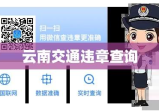 云南交通违章查询，便捷服务助力交通安全