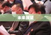 审查员，职责、挑战与未来展望探析