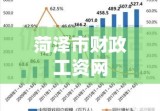 菏泽市财政工资网解读与探索，深度剖析工资系统奥秘