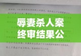 辱妻杀人案终审结果公布，法律公正引发社会反思