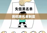 民航黑名单制度，考量与应对策略