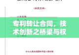 专利转让合同，技术创新之桥梁与权益保障