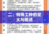 二、特殊工种的定义与概述