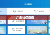 广东社保查询，便捷途径及全面解读指南