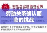 确认劳动关系的重要性及其所面临的挑战