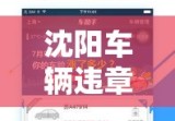 沈阳车辆违章查询，便捷途径与操作指南